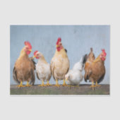 Een Chaotic Chicken Portrait Pt 1 Weefpapier Tissuepapier (Voorkant)