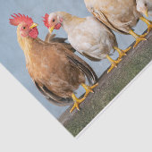 Een Chaotic Chicken Portrait Pt 1 Weefpapier Tissuepapier (Detail)