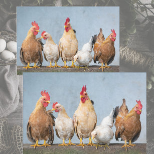Een Chaotic Chicken Portrait Pt 1 Weefpapier Tissuepapier