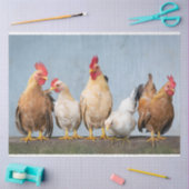 Een chaotisch kipportret deel 1 tissuepapier (Craft)