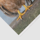 Een chaotisch kipportret deel 1 tissuepapier (Detail)