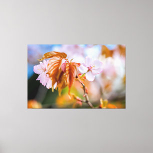 Een charmante kersenbloesem op een takje in de len canvas afdruk