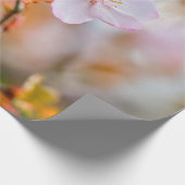 Een charmante Sakura-ventilator op een pruik in he Cadeaupapier (Hoek)