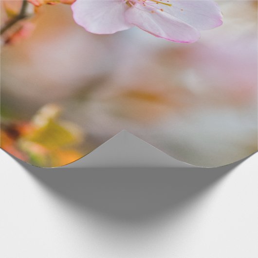 Een charmante Sakura-ventilator op een pruik in he Cadeaupapier (Hoek)