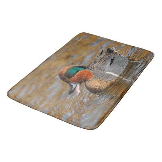 Een Chatty Green-Winged Blauwgroen Duck bij de Pon Badmat (Gekanteld)