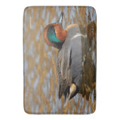 Een Chatty Green-Winged Blauwgroen Duck bij de Pon Badmat (Voorkant Verticaal)