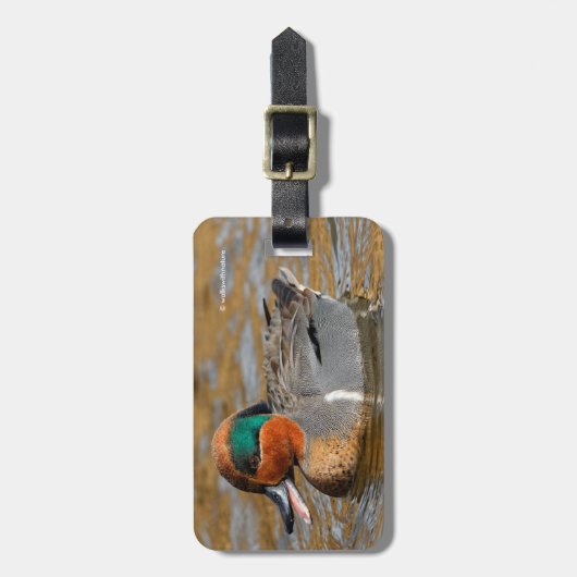 Een Chatty Green-Winged Blauwgroen Duck bij de Pon Bagagelabel (Voorkant verticaal)