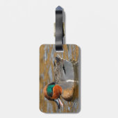 Een Chatty Green-Winged Blauwgroen Duck bij de Pon Bagagelabel (Achterkant verticaal)