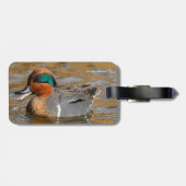 Een Chatty Green-Winged Blauwgroen Duck bij de Pon Bagagelabel (Achterkant horizontaal)