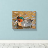 Een Chatty Green-Winged Blauwgroen Duck bij de Pon Canvas Afdruk (Insitu (Houten vloer))