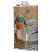 Een Chatty Green-Winged Blauwgroen Duck bij de Pon Heupfles (Links)