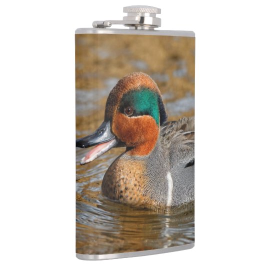 Een Chatty Green-Winged Blauwgroen Duck bij de Pon Heupfles (Rechts)