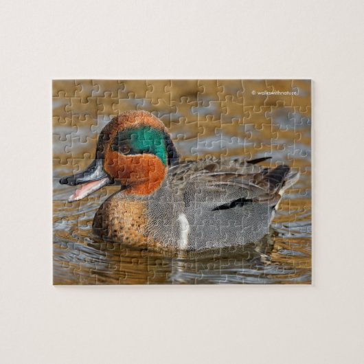 Een Chatty Green-Winged Blauwgroen Duck bij de Pon Legpuzzel (Horizontaal)