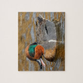 Een Chatty Green-Winged Blauwgroen Duck bij de Pon Legpuzzel (Verticaal)