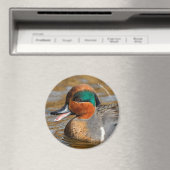 Een Chatty Green-Winged Blauwgroen Duck bij de Pon Magneet (Insitu (Vaatwasser))