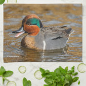 Een Chatty Green-Winged Blauwgroen Duck bij de Pon Theedoek (Gevouwen)