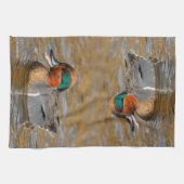 Een Chatty Green-Winged Blauwgroen Duck bij de Pon Theedoek (Horizontaal)