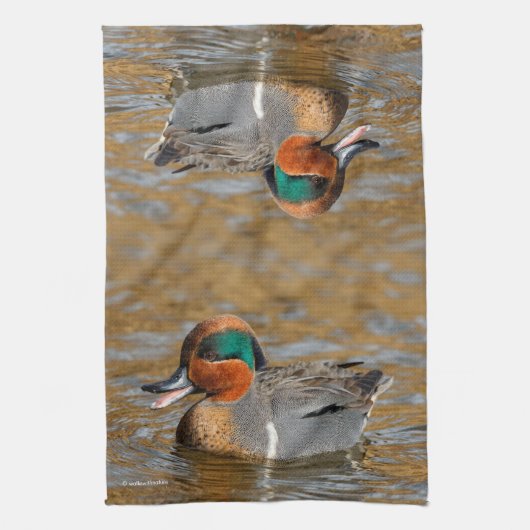 Een Chatty Green-Winged Blauwgroen Duck bij de Pon Theedoek (Verticaal)