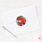 Een Cheeky Eastern Rosella Ronde Sticker (Envelop)