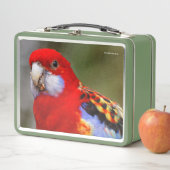 Een Cheeky en kleurrijke Oost-Rosella Parrot (In situ)