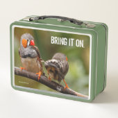 Een Cheeky Paar van de Zebra vinkzangvogels (Achterkant)