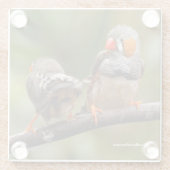 Een Cheeky Paar van Zebra Zongvogels Glazen Onderzetter (Achterkant)