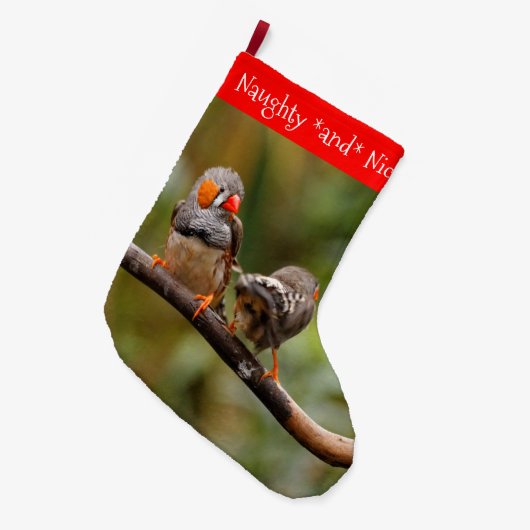 Een Cheeky Paar van Zebra Zongvogels Grote Kerstsok (Voorkant (Hangend))