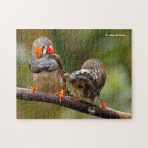 Een Cheeky Pair van Zebra Finches Legpuzzel