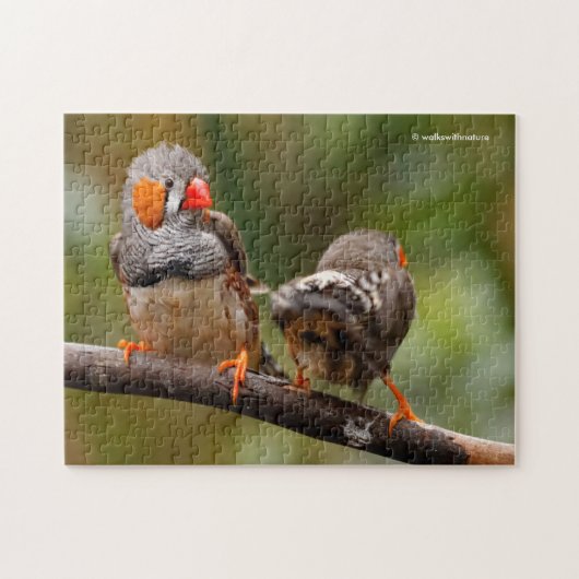 Een Cheeky Pair van Zebra Finches Legpuzzel (Horizontaal)