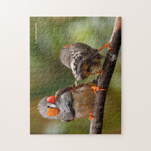 Een Cheeky Pair van Zebra Finches Legpuzzel (Verticaal)