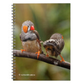 Een Cheeky Pair van Zebra Finches Notitieboek (Voorkant)
