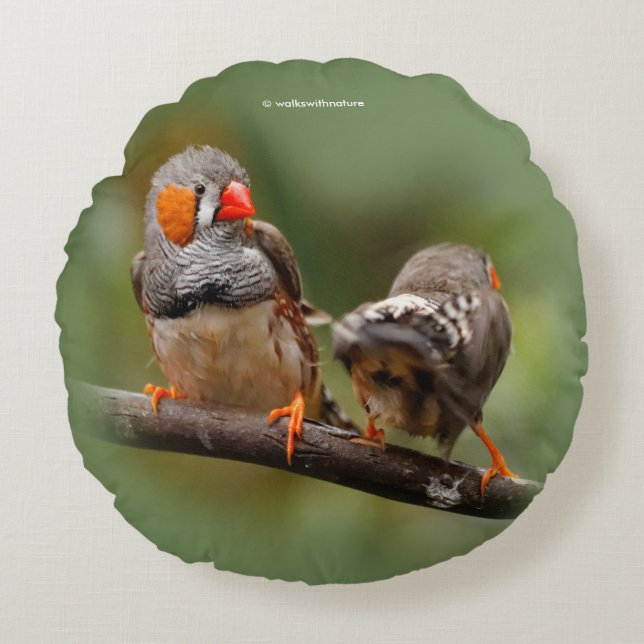 Een Cheeky Pair van Zebra Finches Rond Kussen (Voorkant)