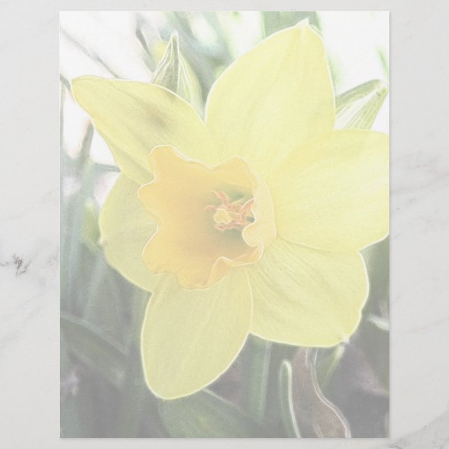 Een Cheerful Yellow Daffodil (Voorkant)