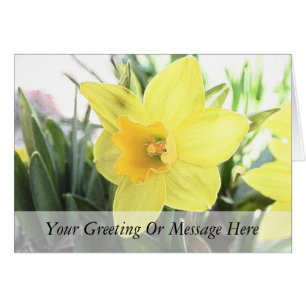 Een Cheerful Yellow Daffodil