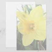 Een Cheerful Yellow Daffodil Briefpapier (Voorkant / Achterkant)