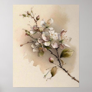 Een Cherry Blossom Branch Waterverf Poster