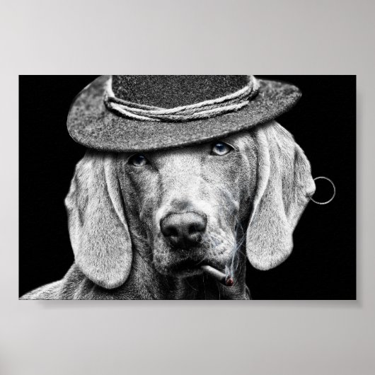 Een chique hond in een punkhoed. poster (Voorkant)