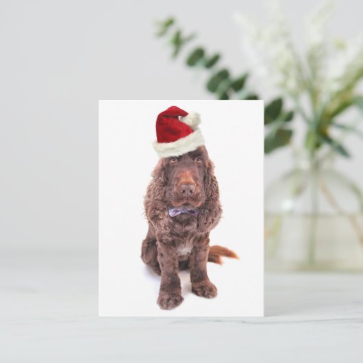 Een chocolade-Engelse cocker spaniel Briefkaart (Staand voorkant)