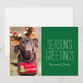 Een Chocolate Labrador Retriever hond (Voorkant / Achterkant)