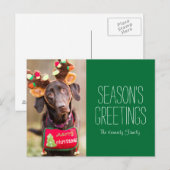Een Chocolate Labrador Retriever hond Briefkaart (Voorkant / Achterkant)