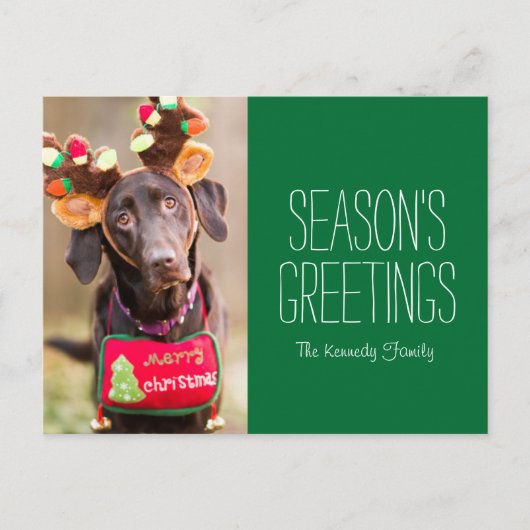 Een Chocolate Labrador Retriever hond Briefkaart (Voorkant)