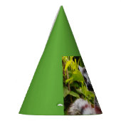 een citroen uit Madagaskar op het pet van de parti Feesthoedjes (Links)