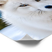 Een close-up portret van een Arctic Fox Poster (Hoek)