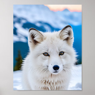 Een close-up portret van een Arctic Fox Poster