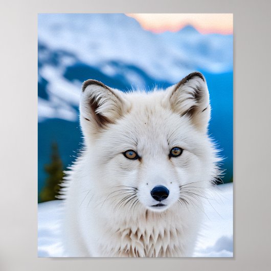 Een close-up portret van een Arctic Fox Poster (Voorkant)
