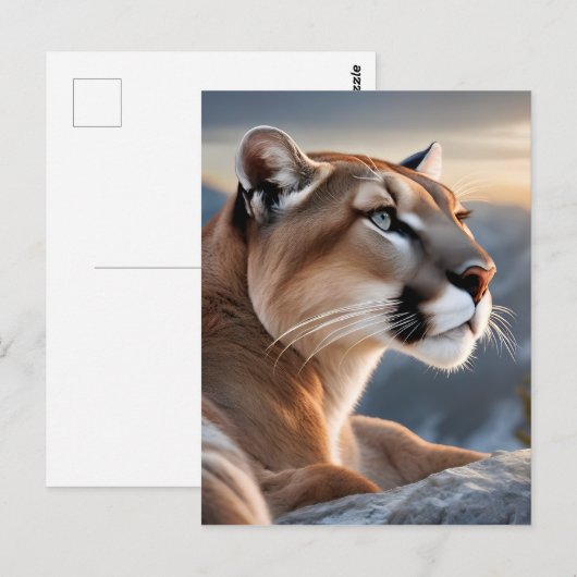 Een close-up portret van een cougar briefkaart (Voorkant / Achterkant)