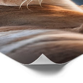 Een close-up portret van een cougar poster (Hoek)