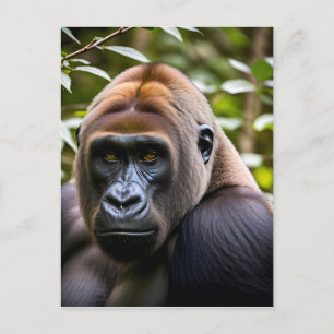 Een close-up portret van een gorilla briefkaart