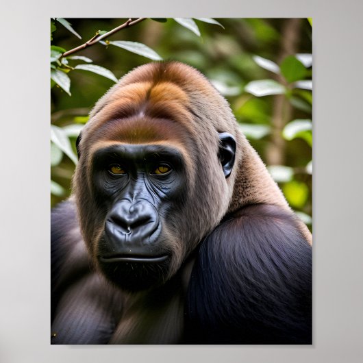 Een close-up portret van een gorilla poster (Voorkant)