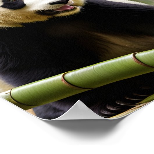 Een close-up portret van een Panda Poster (Hoek)